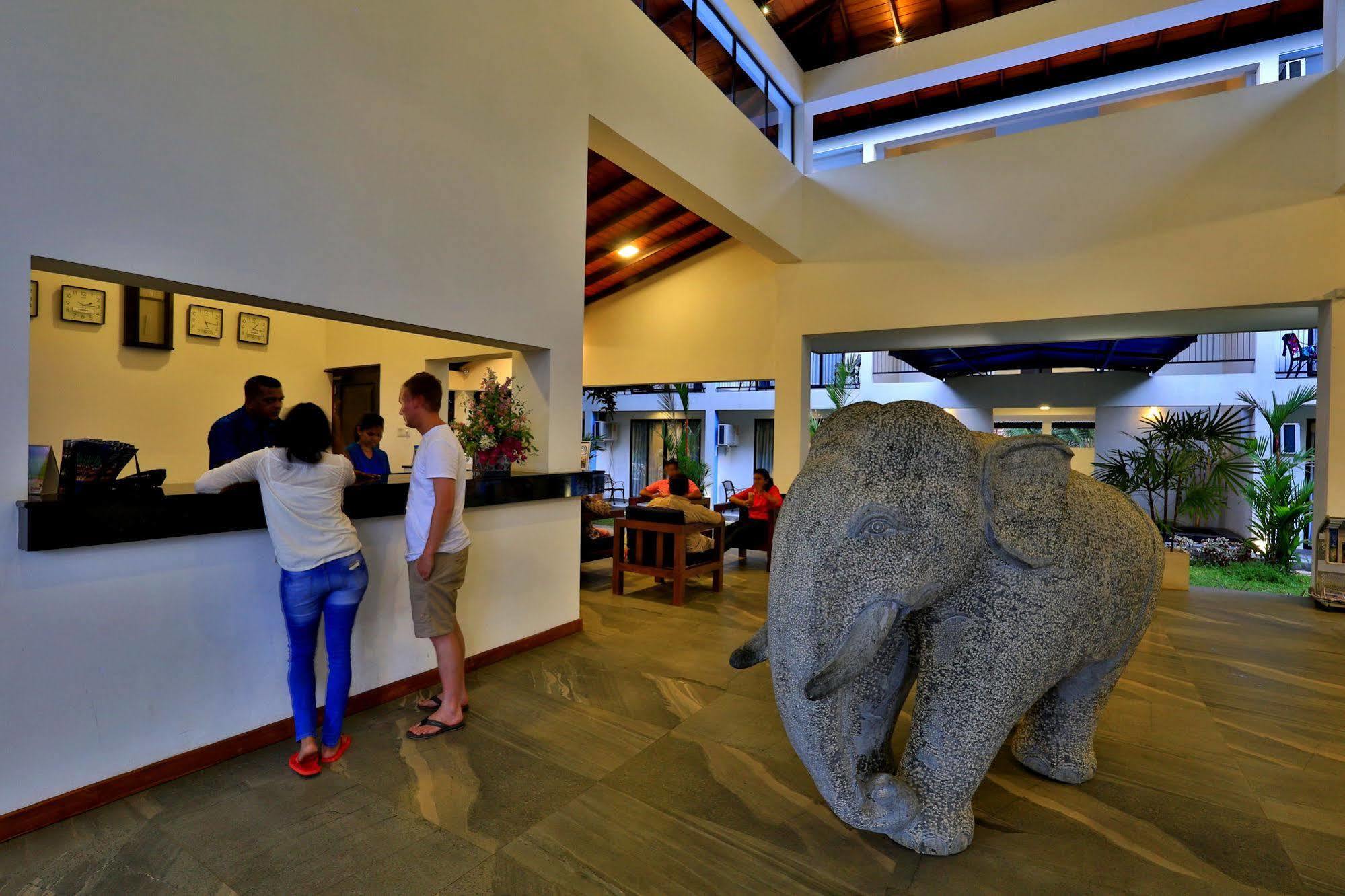 The Blue Wave Hotel Arugam Bay Eksteriør billede